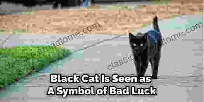 A Black Cat Crossing A Path Is Said To Be Bad Luck In Some Cultures. Black Cats April Fools Origins Of Old Wives Tales And Superstitions In Our Daily Lives