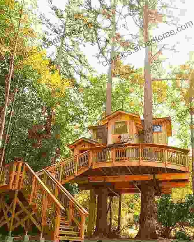 A Breathtaking Image Of A Wooden Treehouse Perched On A Towering Treetop, Nestled Amidst Lush Greenery, With A Warm Glow Emanating From Its Windows. Treehouses And Other Cool Stuff: 50 Projects You Can Build