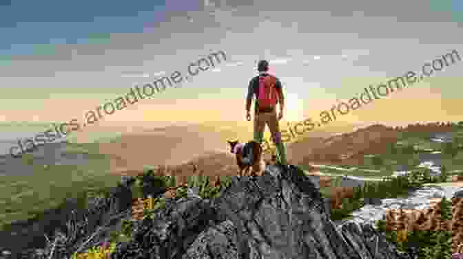 A Dog Standing On A Mountaintop, Looking Out At The View Life Is Golden: What I Ve Learned From The World S Most Adventurous Dogs