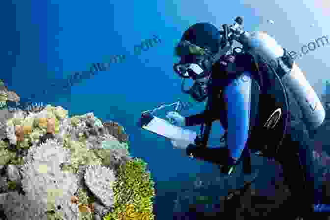 A Group Of Scientists Monitoring The Health Of A Coral Reef, Highlighting The Importance Of Research And Monitoring In Protecting Marine Ecosystems. The Atlas Of Disappearing Places: Our Coasts And Oceans In The Climate Crisis