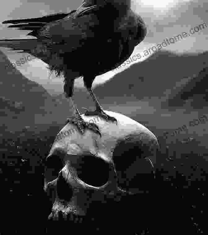 A Majestic Crow Perched On A Skull, Symbolizing The Connection Between Crows, Ravens, And The Mysteries Of Death And The Afterlife MAGICAL CROWS RAVENS AND THE CELEBRATION OF DEATH