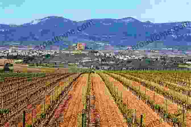 A Panoramic View Of Rolling Vineyards In Spain With Mountains In The Distance Decoding Spanish Wine: A Beginner S Guide To The High Value World Class Wines Of Spain