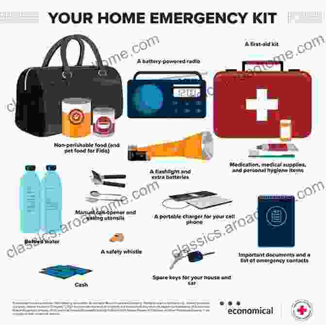 A Person Organizing Their Home For Emergency Preparedness. EMERGENCY FOOD SUPPLY: The Essential Guide For Family Preparedness To Organizing Preserving And Cooking Healthy Foods To Build A Stockpile To Survive Without The Grocery Store