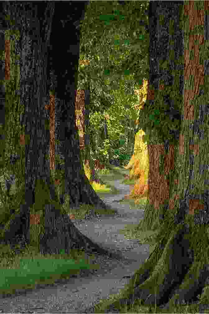 A Winding Path Through A Forest, Symbolizing The Journey Of Faith The Acts And Character Of A Reformed Heart: Christianity Lies In The Heart