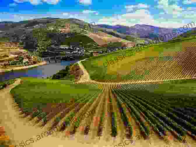 A Winemaker Inspecting Grapes In A Vineyard In Ribera Del Duero Decoding Spanish Wine: A Beginner S Guide To The High Value World Class Wines Of Spain