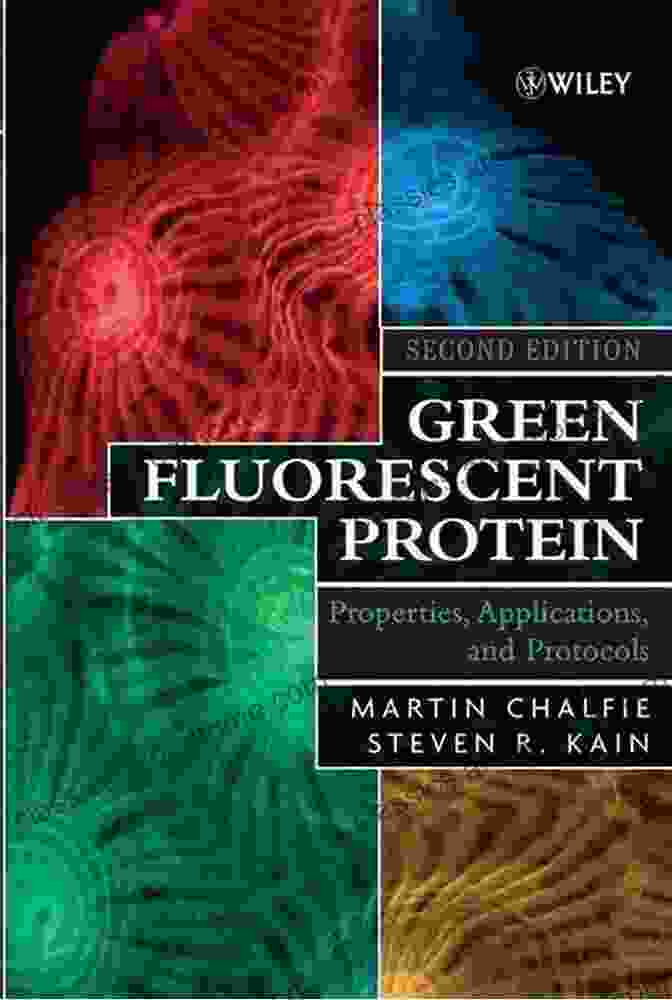 Biochemical Analysis Techniques Green Fluorescent Protein: Properties Applications And Protocols (Methods Of Biochemical Analysis 47)