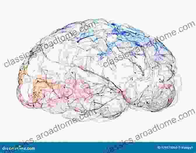 Brain And Self Interconnectedness The Self And Its Brain