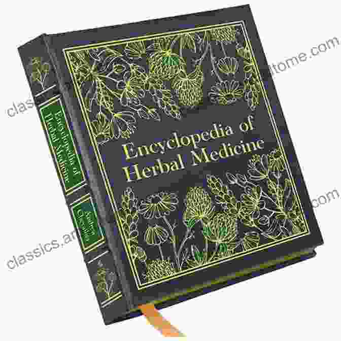 Encyclopedia Of Medicinal Herbs Medicinal Herbs: A Beginner S Guide (healing Herbal Grow Alternative Medicine)