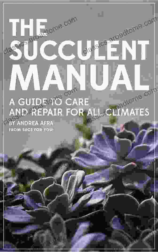 Guide To Care And Repair For All Climates The Succulent Manual: A Guide To Care And Repair For All Climates