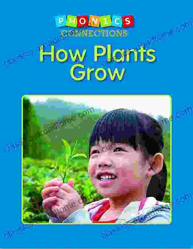 How Plants Grow Phonics Connections Book Cover How Plants Grow (Phonics Connections)