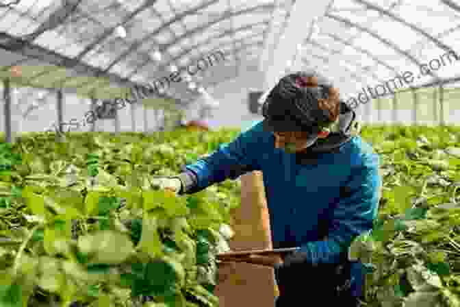 Image Of An Agriculture Student Working In A Greenhouse Land Surveying And Levelling Engineering: A Practical Guide For Students Pursuing B Sc (H) Fisheries / Agriculture / Horticulture Diploma / B Tech In Agricultural Engineering