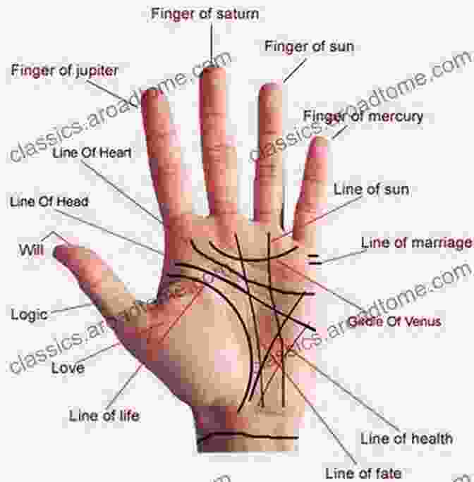 Palm Reader Examining The Lines On A Person's Hand Divination : Types Of Psychic Readings: Tarot Astrology Numerology Palm Reading Runes Aura Reading