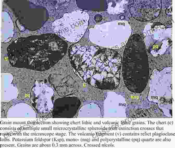 Petrographic Analysis Of Sedimentary Rocks, Revealing The Microscopic Features That Hold Vital Information About Their Origin And Depositional History Principles Of Sedimentary Basin Analysis