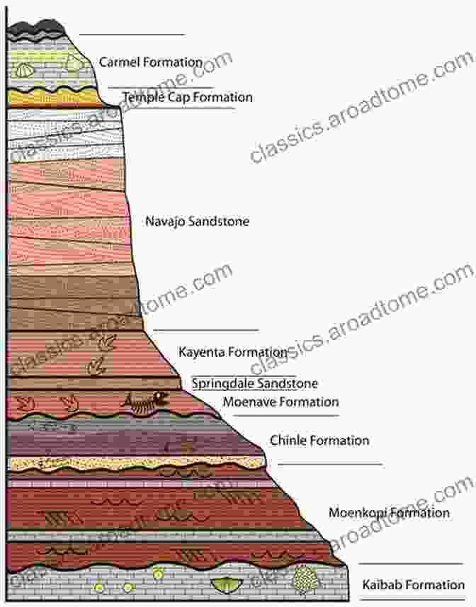 Stunning Cover Art Depicting A Cross Section Of A Rock Formation, Revealing Its Intricate Composition And Layers, Inviting Readers To Delve Into The Fascinating Study Of Petrology. The Fundamental Principles Of Petrology