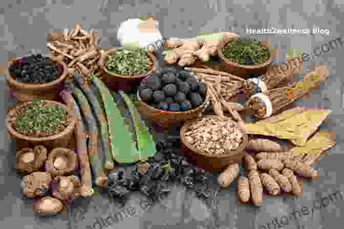 The Use Of Medicinal Herbs In Palo Mayumbe Novice Palero El Muerto Vive : An To Palo Mayumbe