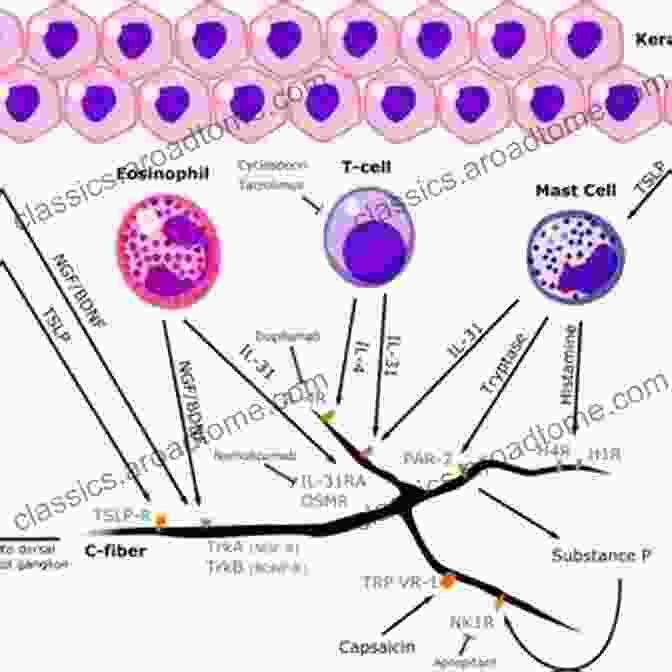 Treatment Strategies For Neuroimmunological Diseases A Primer Of Neuroimmunological Disease