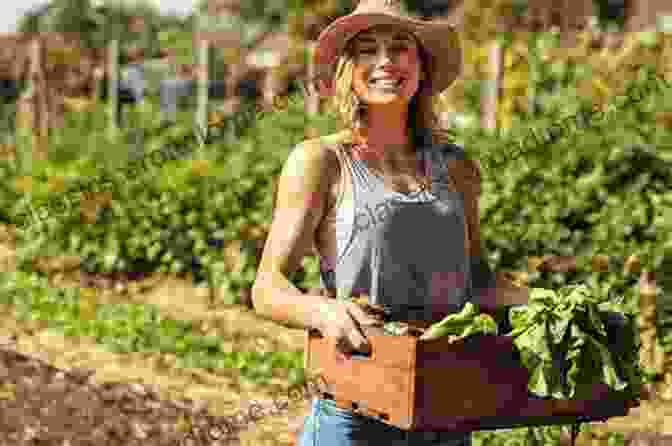 Woman Harvesting Fresh Herbs From Her Garden Medicinal Herbs: A Beginner S Guide (healing Herbal Grow Alternative Medicine)