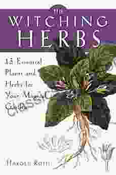 The Witching Herbs: 13 Essential Plants And Herbs For Your Magical Garden