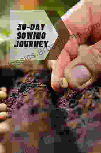 30 Day Sowing Journey