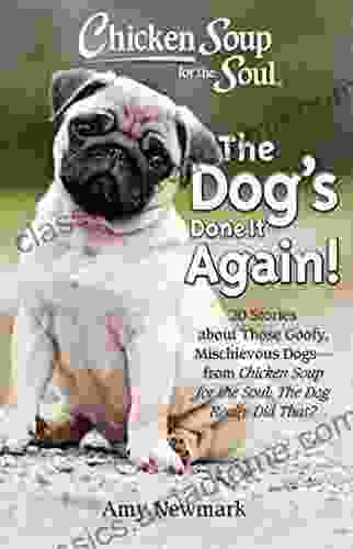 Chicken Soup For The Soul: The Dog S Done It Again : 20 Stories About Those Goofy Mischievous Dogs From Chicken Soup For The Soul: The Dog Really Did That?