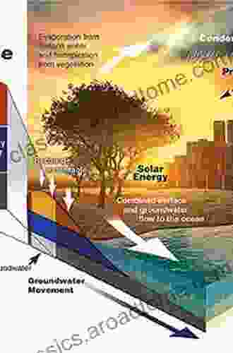 Ecohydrology: Dynamics of Life and Water in the Critical Zone