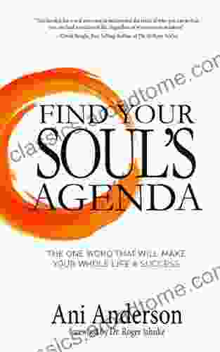 Find Your Soul S Agenda: The One Word That Will Make Your Whole Life A Success