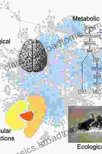 Introduction To Biological Networks: From Graphs To Systems Biology (Chapman Hall/CRC Mathematical And Computational Biology)