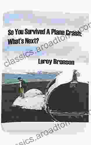 So You Survived A Plane Crash What S Next?