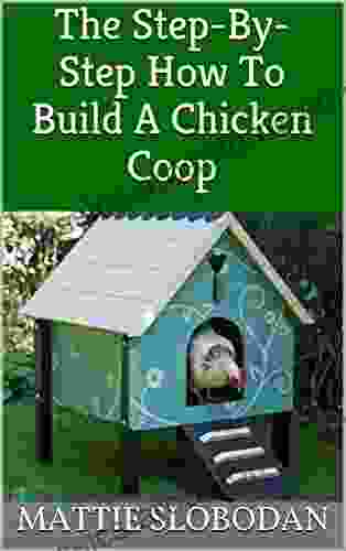 The Step By Step How To Build A Chicken Coop