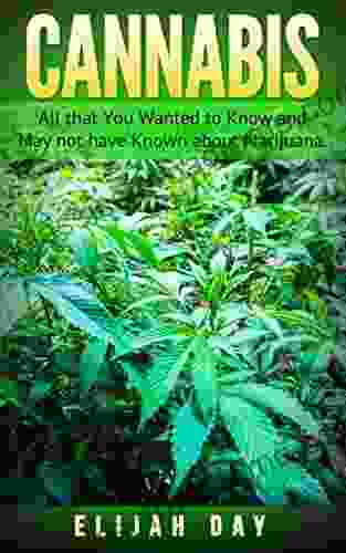 Cannabis: All That You Wanted To Know And May Not Have Known About Marijuana