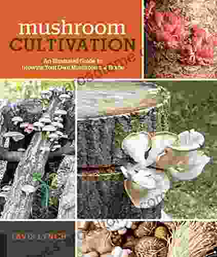 Mushroom Cultivation: An Illustrated Guide To Growing Your Own Mushrooms At Home