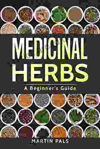 Medicinal Herbs: A Beginner S Guide (healing Herbal Grow Alternative Medicine)