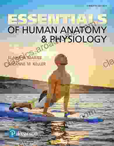 Essentials Of Human Anatomy Physiology (2 Downloads)