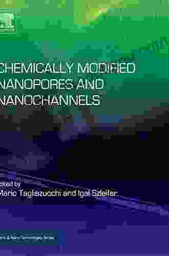 Chemically Modified Nanopores And Nanochannels