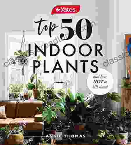 Yates Top 50 Indoor Plants And How Not To Kill Them